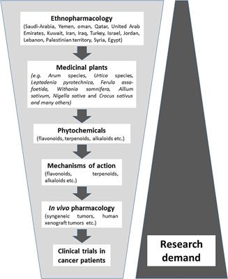 Medicinal Plants from Near East for Cancer Therapy